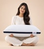 Luxurious Microfiber 24 x 16 Inch Pillows (Set of 2)