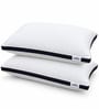Luxurious Super Microfiber 27 x 17 Inch Pillows (Set of 2)