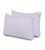 Luxurious Super Microfiber 27 x 17 Inch Pillows (Set of 2)
