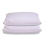 Luxurious Super Microfiber 27 x 17 Inch Pillows (Set of 2)