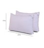 Luxurious Super Microfiber 27 x 17 Inch Pillows (Set of 2)