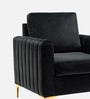 Luxurious Velvet Fabric Lounge Chair In Black Colour
