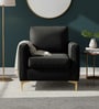 Luxurious Velvet Fabric Lounge Chair In Black Colour