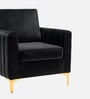 Luxurious Velvet Fabric Lounge Chair In Black Colour