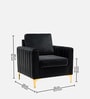 Luxurious Velvet Fabric Lounge Chair In Black Colour