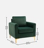 Luxurious Velvet Fabric Lounge Chair In Green Colour