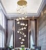 Luxury 22 Hanging Butterfly Chandelier IN BUILT LED TRIO COLOUR- (Height : 300 CM, DIAMETER : 60 CM)