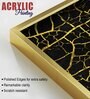 Luxury Black And Gold Marble Texture Acrylic Framed Art Panel (Set Of 2)