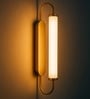 Luxury Crystal Lotus LED Wall Light Gold Finish Luxury Crystal Lotus LED Wall Light Gold Finish