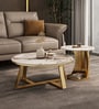 Luxury Marble Coffee Table In PVD Finish (Set of 2)