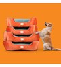 Luxury Medium Dog Bed in Orange & Aqua Colour with Washable Cover