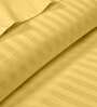 Luxury Soft 100% Cotton Satin Stripe 210 Tc King Bedsheet with 2Pc Pillow Cover