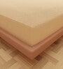 Luxury Waterproof Fitted Terry Cotton Queen Size (72x66) Mattress Protector in Beige Colour