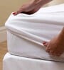Luxury Waterproof Fitted Terry Cotton Queen Size (78x60) Mattress Protector in White Colour