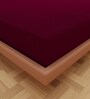 Luxury Waterproof Fitted Terry Cotton Single Size (75x36) Mattress Protector in Maroon Colour