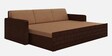Madelyn Pull-Out Sofa Cum Bed in Brown Finish