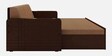 Madelyn Pull-Out Sofa Cum Bed in Brown Finish