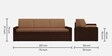 Madelyn Pull-Out Sofa Cum Bed in Brown Finish