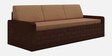 Madelyn Pull-Out Sofa Cum Bed in Brown Finish