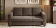 Magnate Fabric 3 Seater Sofa in Brown Colour