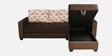 Marigold Velvet LHS Sectional Sofa in Choco Brown Colour