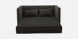 Zare Sofa Cum Bed In Taupe Brown Colour Zare Sofa Cum Bed In Taupe Brown Colour