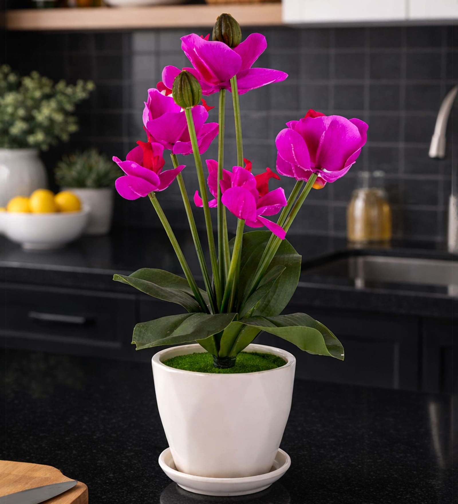 Magenta Silk Fabric Orchid Radiance Arrangement Pot With Flower