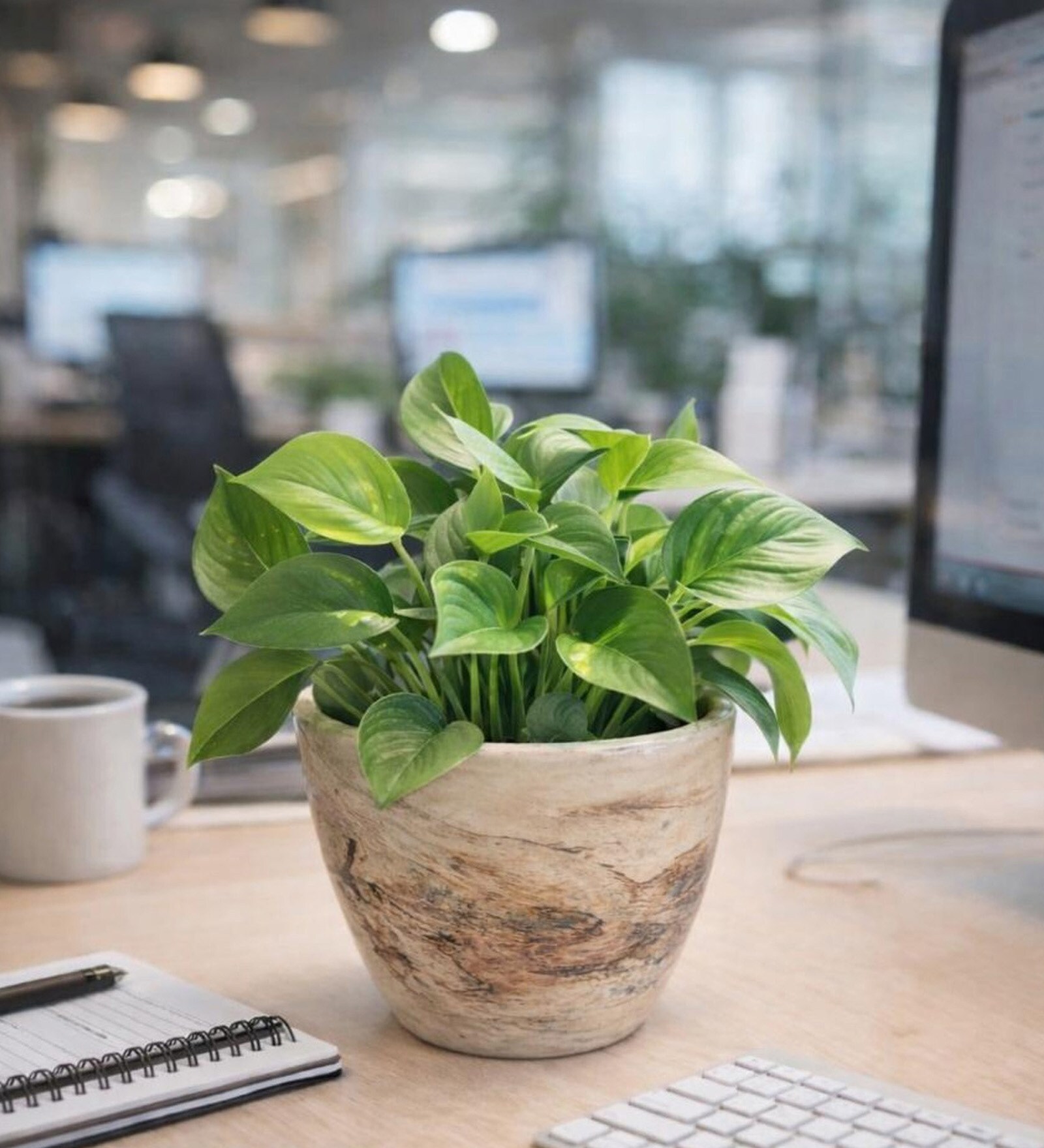 Marble Finish Ceramic Planter Pot