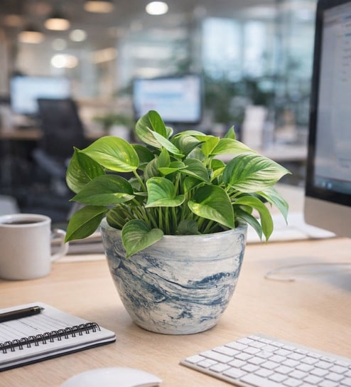 Marble Finish Ceramic Planter Pot