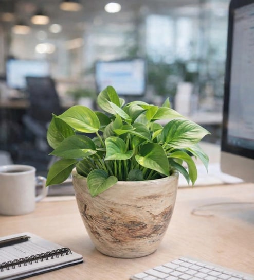 Marble Finish Ceramic Planter Pot