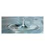 Blue Nylon 21 x 55 Inches Machine Made Floor Runner