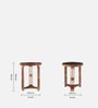 Magellan Mango Wood End Table In Tubbaq Finish With Brown Tinted Glass Top