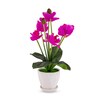 Magenta Silk Fabric Orchid Radiance Arrangement Pot With Flower