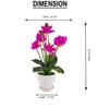 Magenta Silk Fabric Orchid Radiance Arrangement Pot With Flower