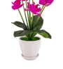 Magenta Silk Fabric Orchid Radiance Arrangement Pot With Flower