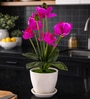 Magenta Silk Fabric Orchid Radiance Arrangement Pot With Flower