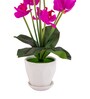 Magenta Silk Fabric Orchid Radiance Arrangement Pot With Flower