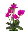 Magenta Silk Fabric Orchid Radiance Arrangement Pot With Flower