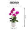 Magenta Silk Fabric Orchid Radiance Arrangement Pot With Flower