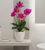 Magenta Silk Fabric Orchid Radiance Arrangement Pot With Flower