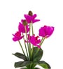 Magenta Silk Fabric Orchid Radiance Arrangement Pot With Flower