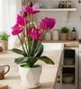 Magenta Silk Fabric Orchid Radiance Arrangement Pot With Flower