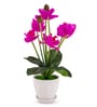 Magenta Silk Fabric Orchid Radiance Arrangement Pot With Flower