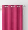 Magenta Velevt Solids 9ft Light Filtering Eyelet Long Door Curtain