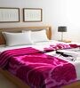 Magenta Floral Wool 600 GSM Double Bed Blanket