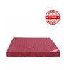 Magic 72X48X5 Inch Double Bed Mattress