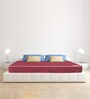 Magic 84X72X5 Inch Double Bed Mattress