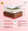 Magic Orthopedic Dual Comfort 4 Inches Coir Single Size Mttress