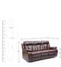 Magna 3 Seater Recliner in Dark Brown Colour