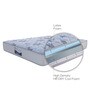 Springfit Dry Cool Magnus 5 Inch Memory & HR Foam Single Size Mattress